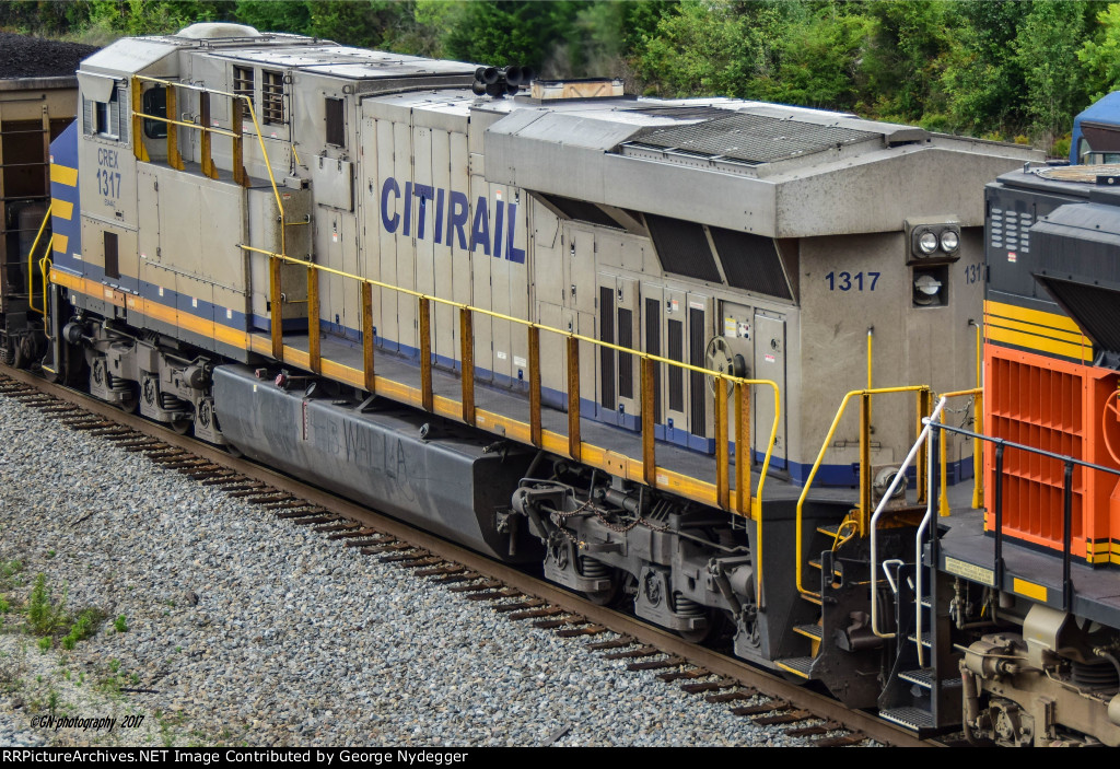 CREX 1317